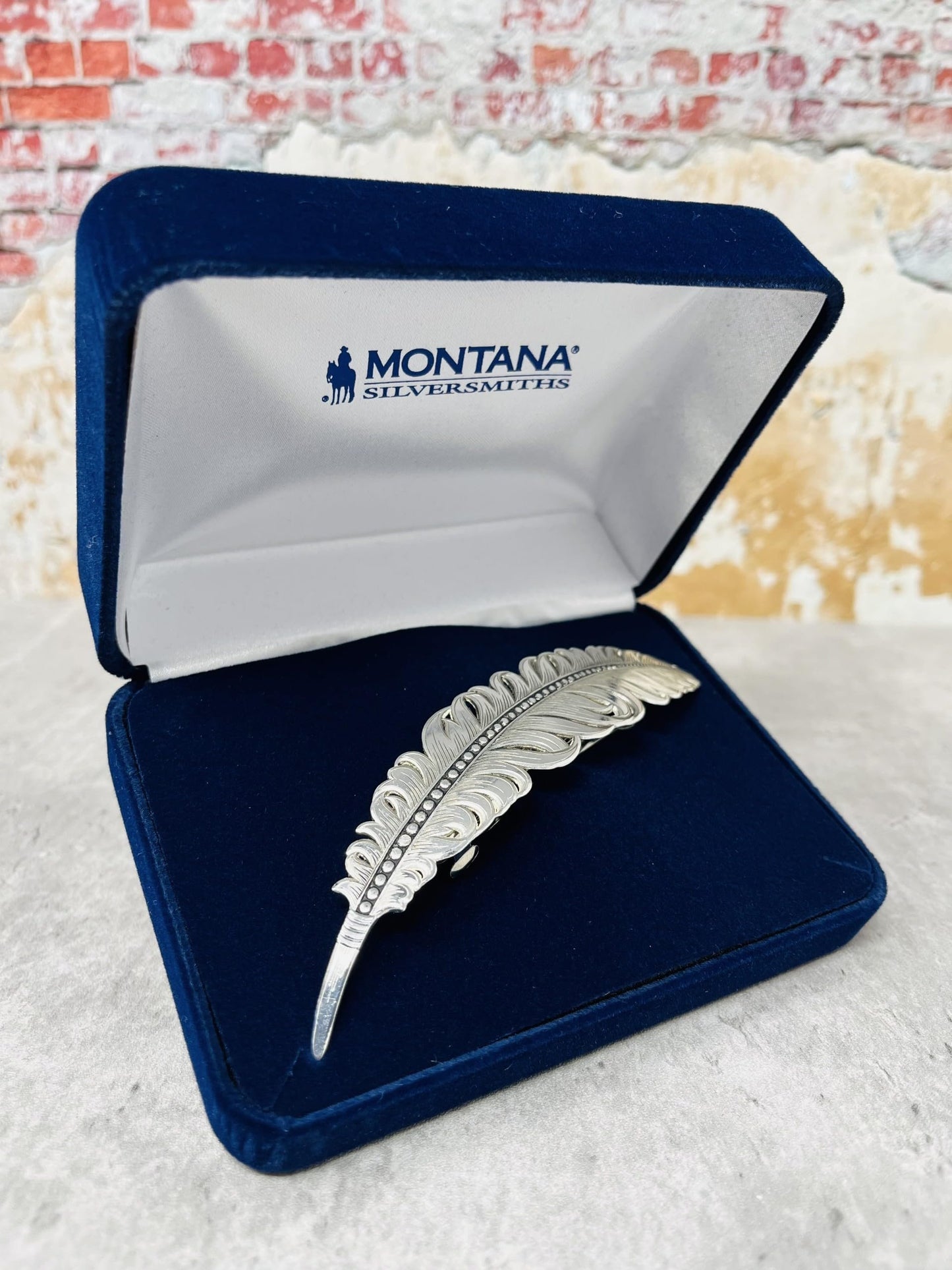 Montana Silversmiths Women's Antiqued Feather Barrette - Ba4059rts