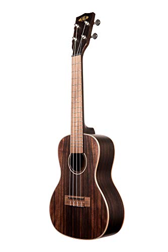 Kala Striped Ebony Ukulele