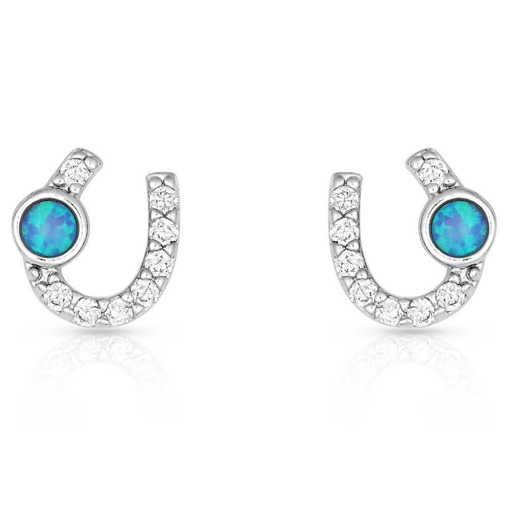 Montana Silversmiths Women's Lightfoot Horseshoe Earrings - ER3394 One Size