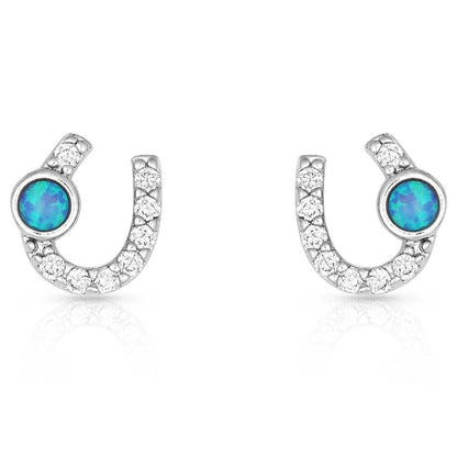 Montana Silversmiths Women's Lightfoot Horseshoe Earrings - ER3394 One Size