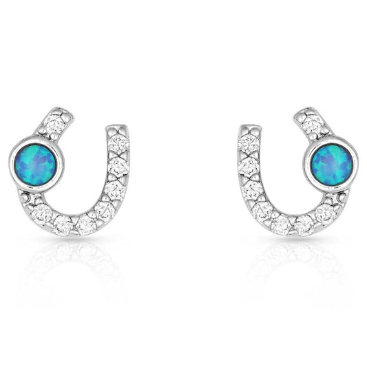 Montana Silversmiths Women's Lightfoot Horseshoe Earrings - ER3394 One Size