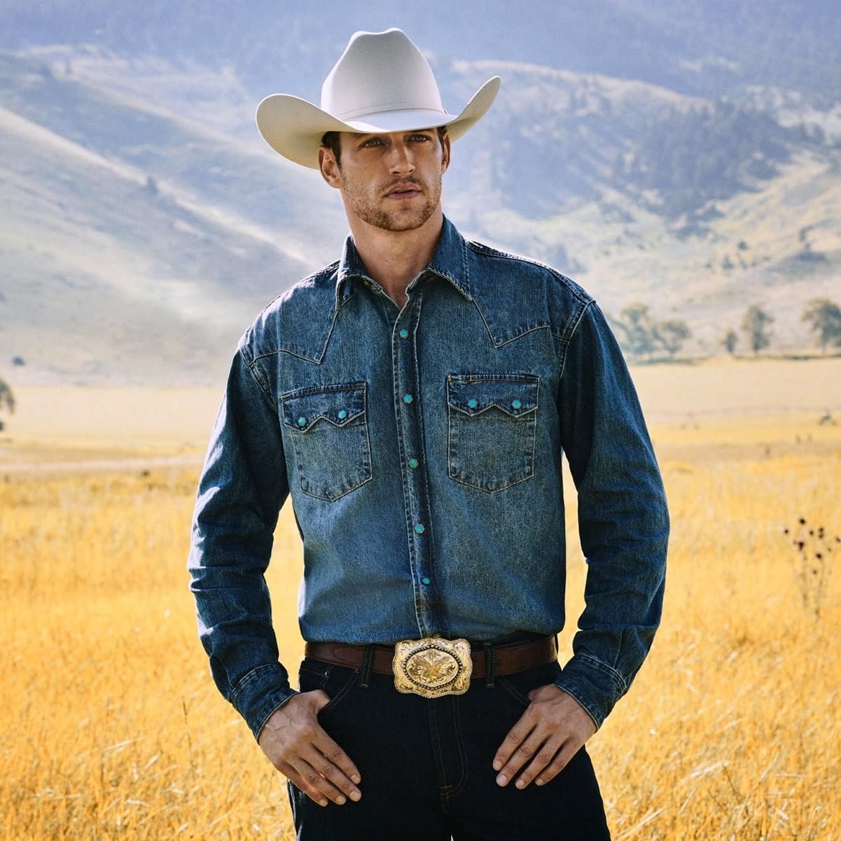 Stetson Men's 6X Skyline Hat, Chocalate, Size 7 3/8 Chocolate