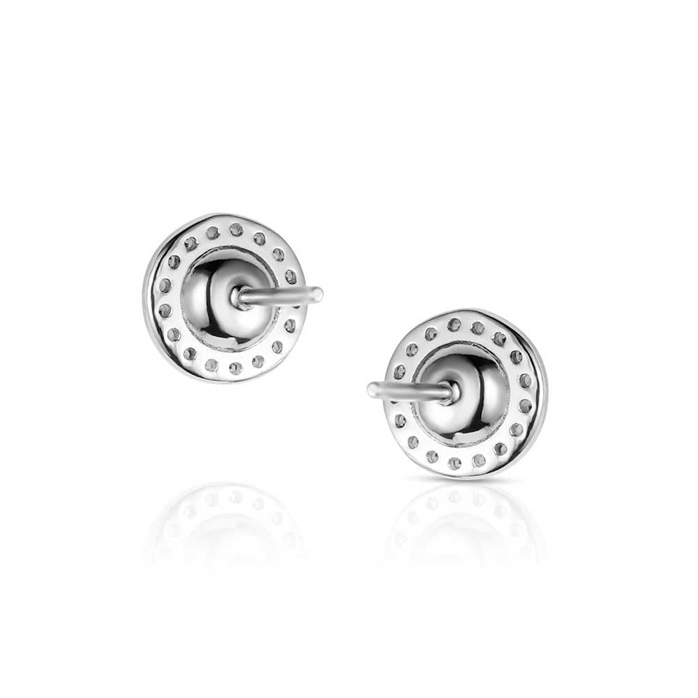 Montana Silversmiths Western Lifestyle Post/Stud Earrings