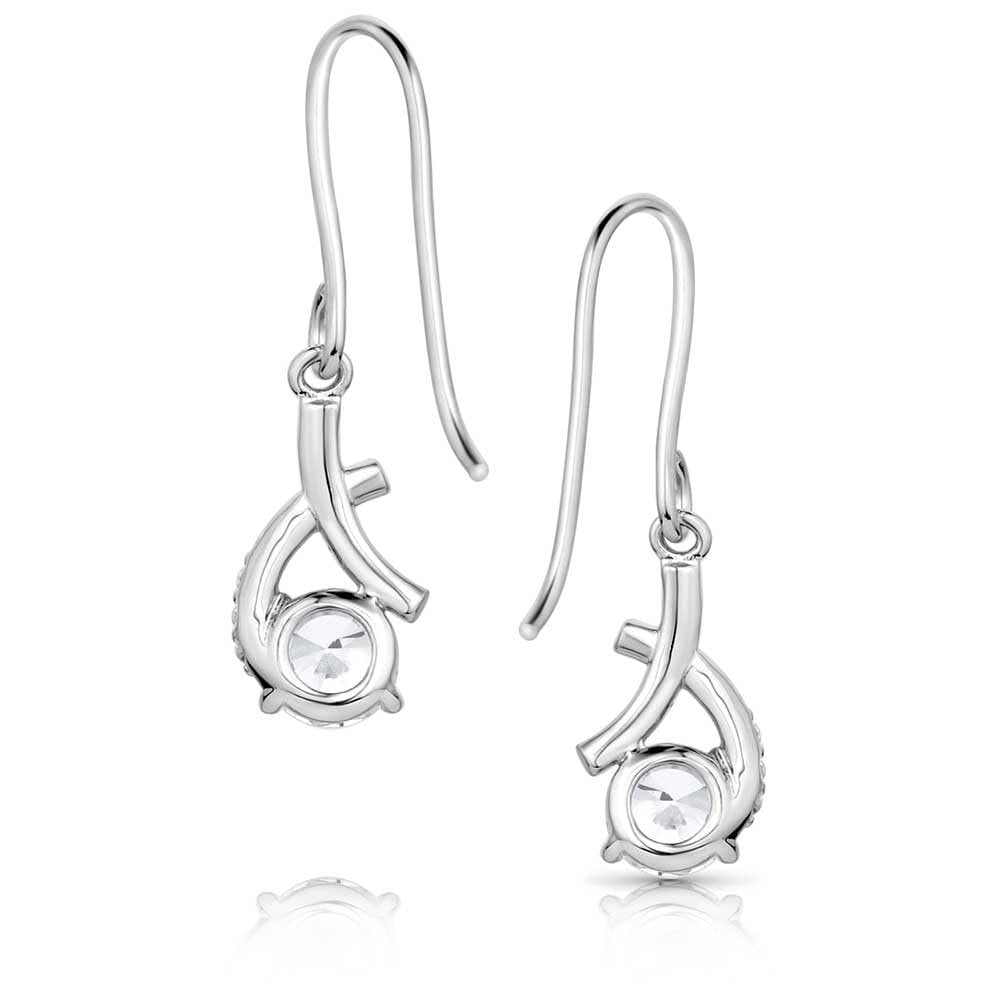Montana Silversmiths Western Lifestyle Crystal Earrings