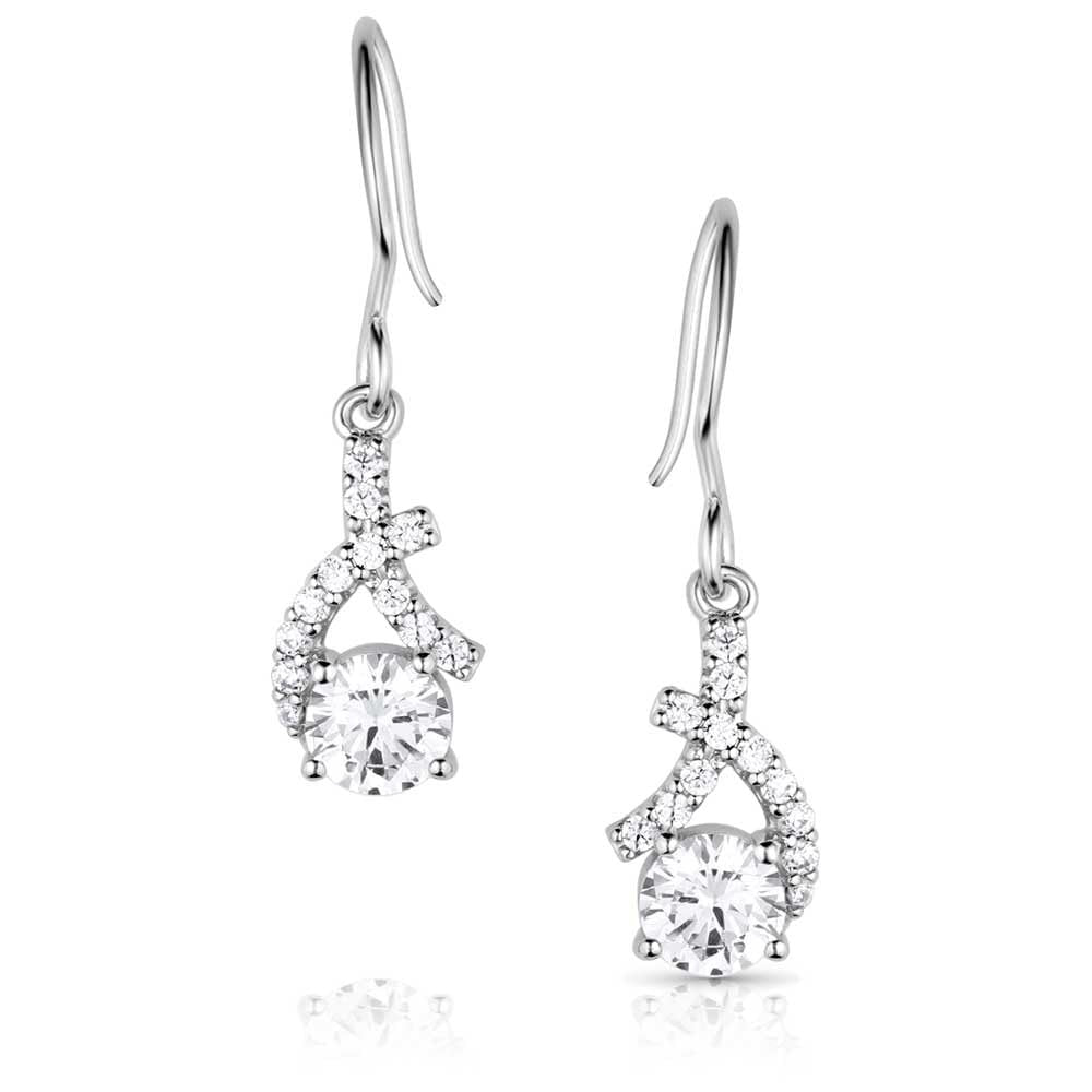 Montana Silversmiths Western Lifestyle Crystal Earrings