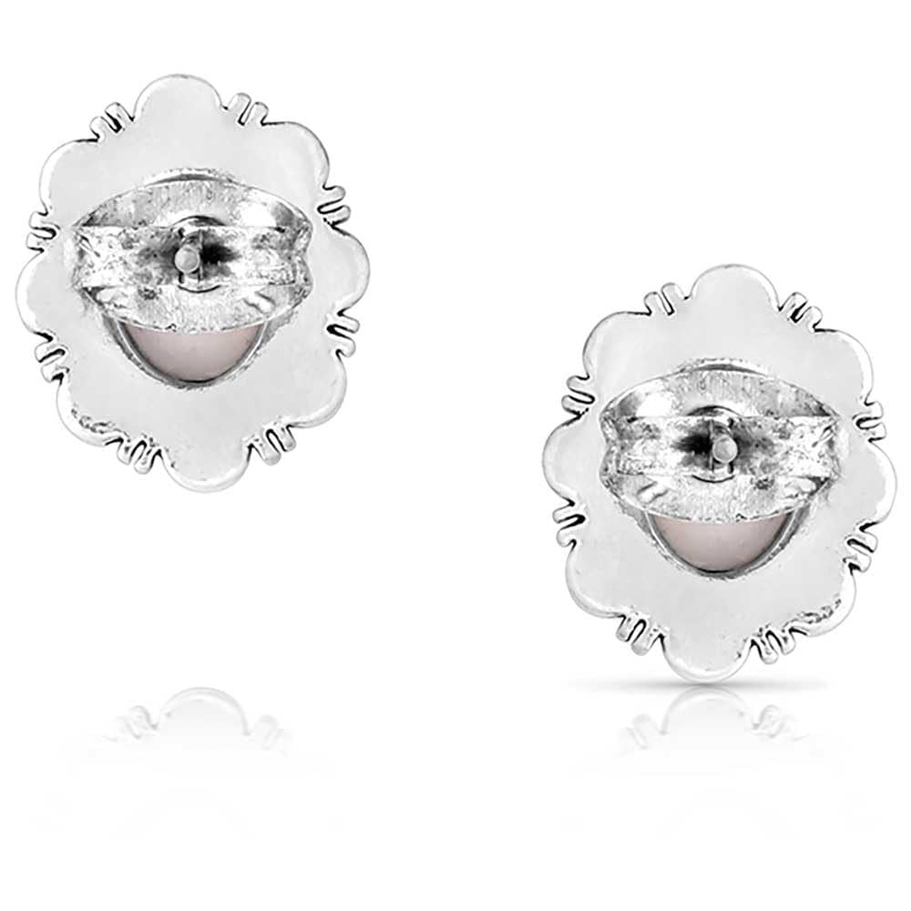 Montana Silversmiths Western Lifestyle Post/Stud Earrings