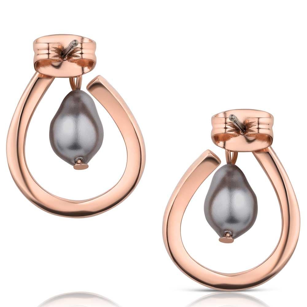 Montana Silversmiths Western Lifestyle Post/Stud Earrings