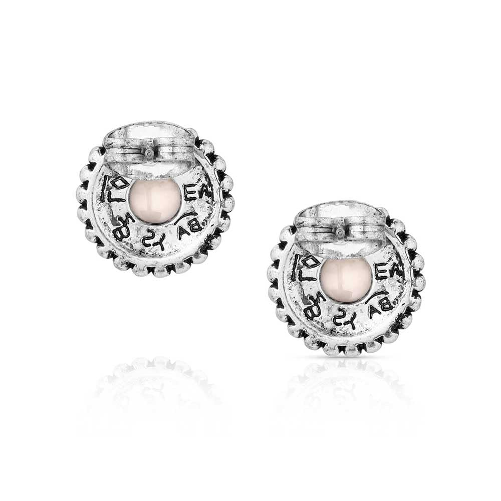 Montana Silversmiths Western Lifestyle Post/Stud Earrings