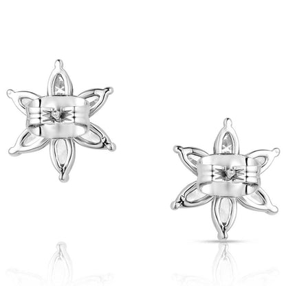 Montana Silversmiths Western Lifestyle Post/Stud Earrings