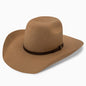 RESISTOL Men's Hooey Day Money Cowboy Hat