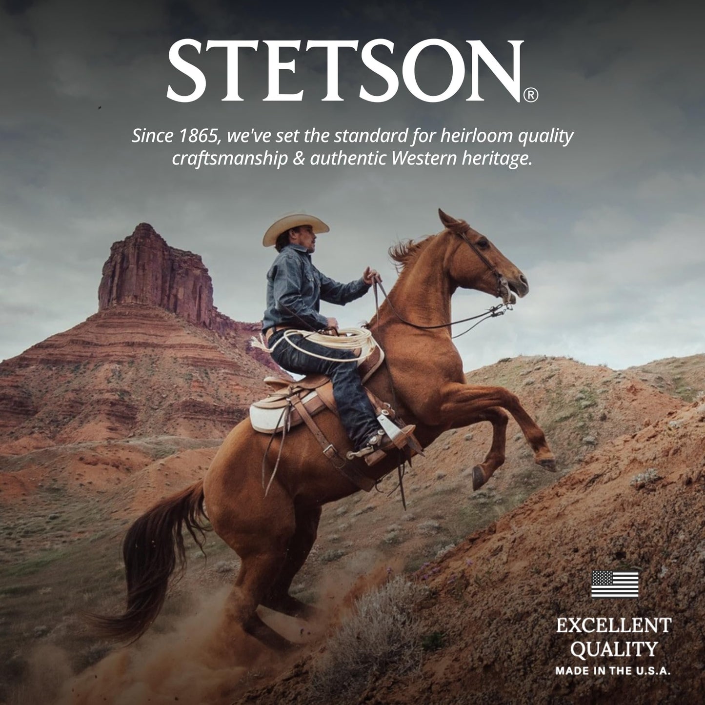 Stetson Sagebrush, Color: Mink, Size: L (OWSGBH-813423L0)