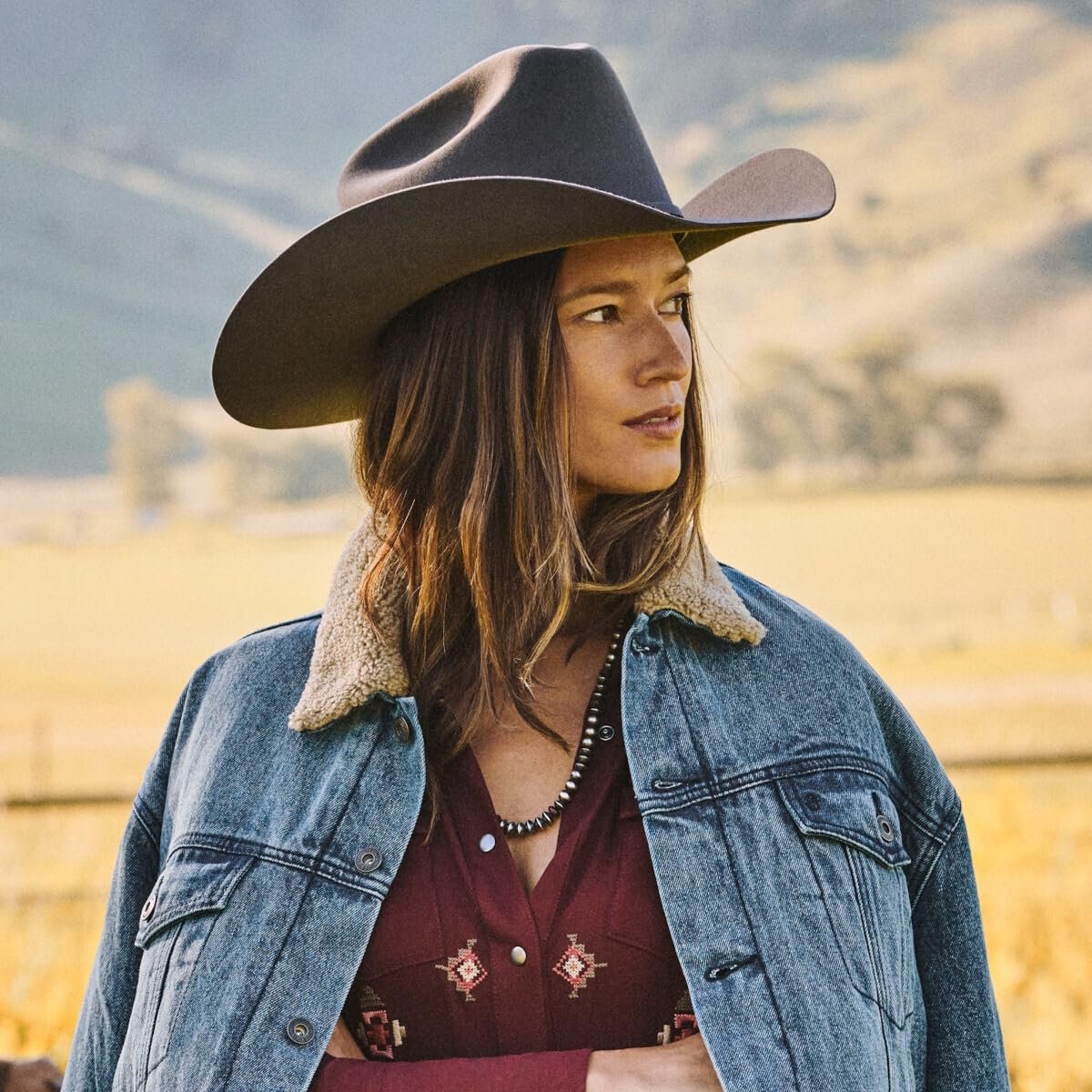 Stetson Men's 6X Skyline Hat, Chocalate, Size 7 3/8 Chocolate