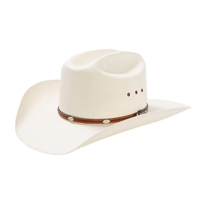 Stetson Men's Alamo Hat
