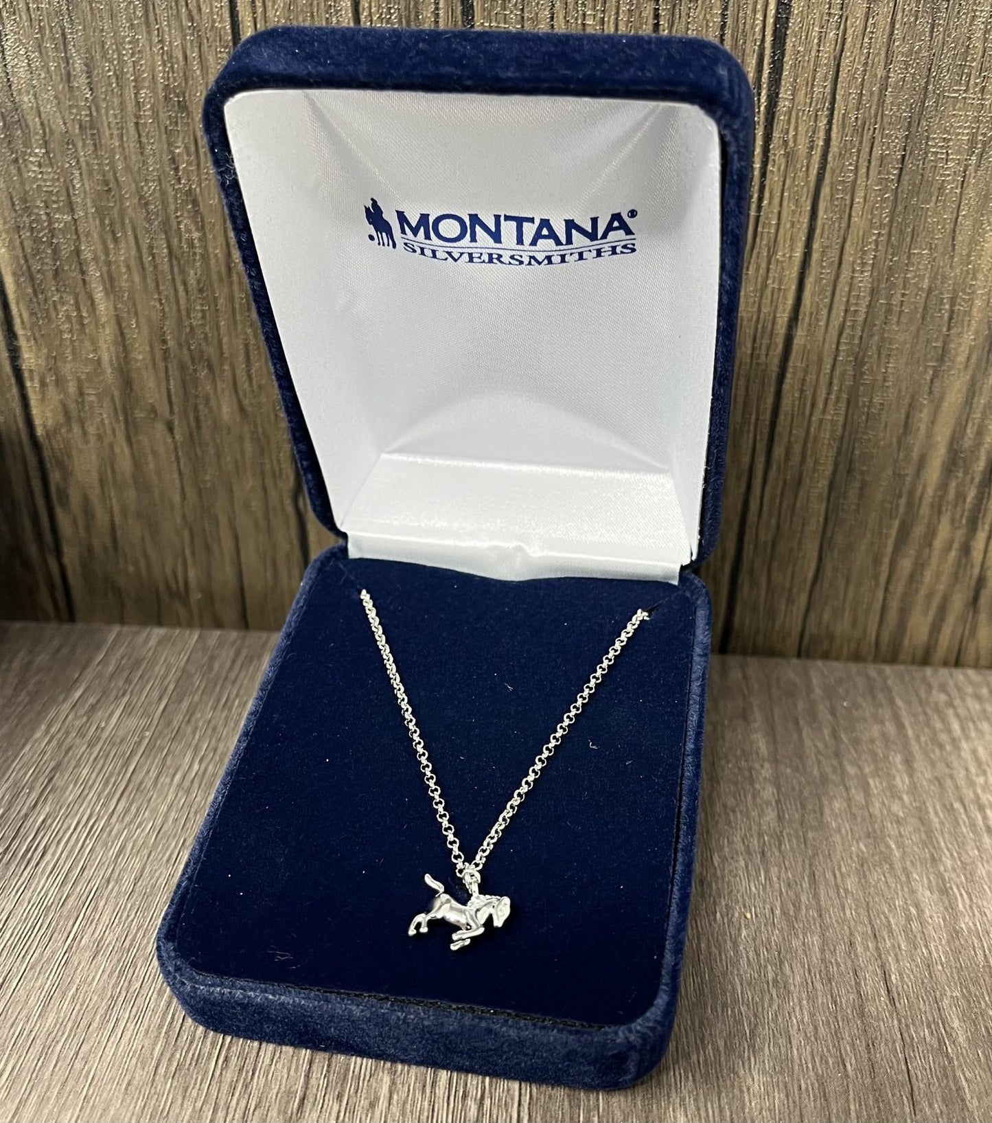 Montana Silversmiths Western Lifestyle Pendant Necklace